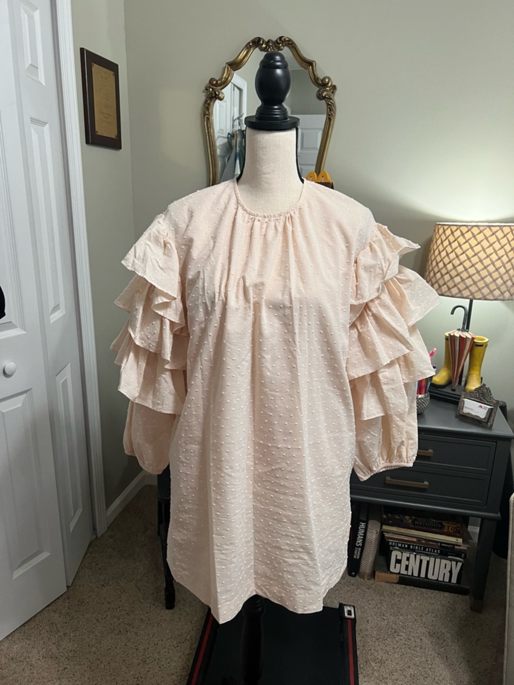 EUC Karlie Ruffle Swiss Dot Dress - Pale Blush